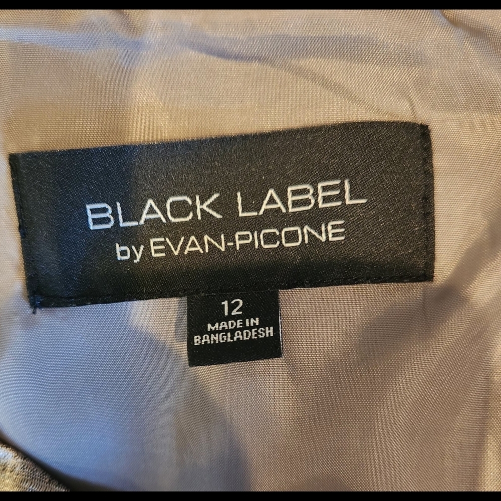 Evan Picone Silver and Black Sheath Midi Dress - Picture 8 of 9